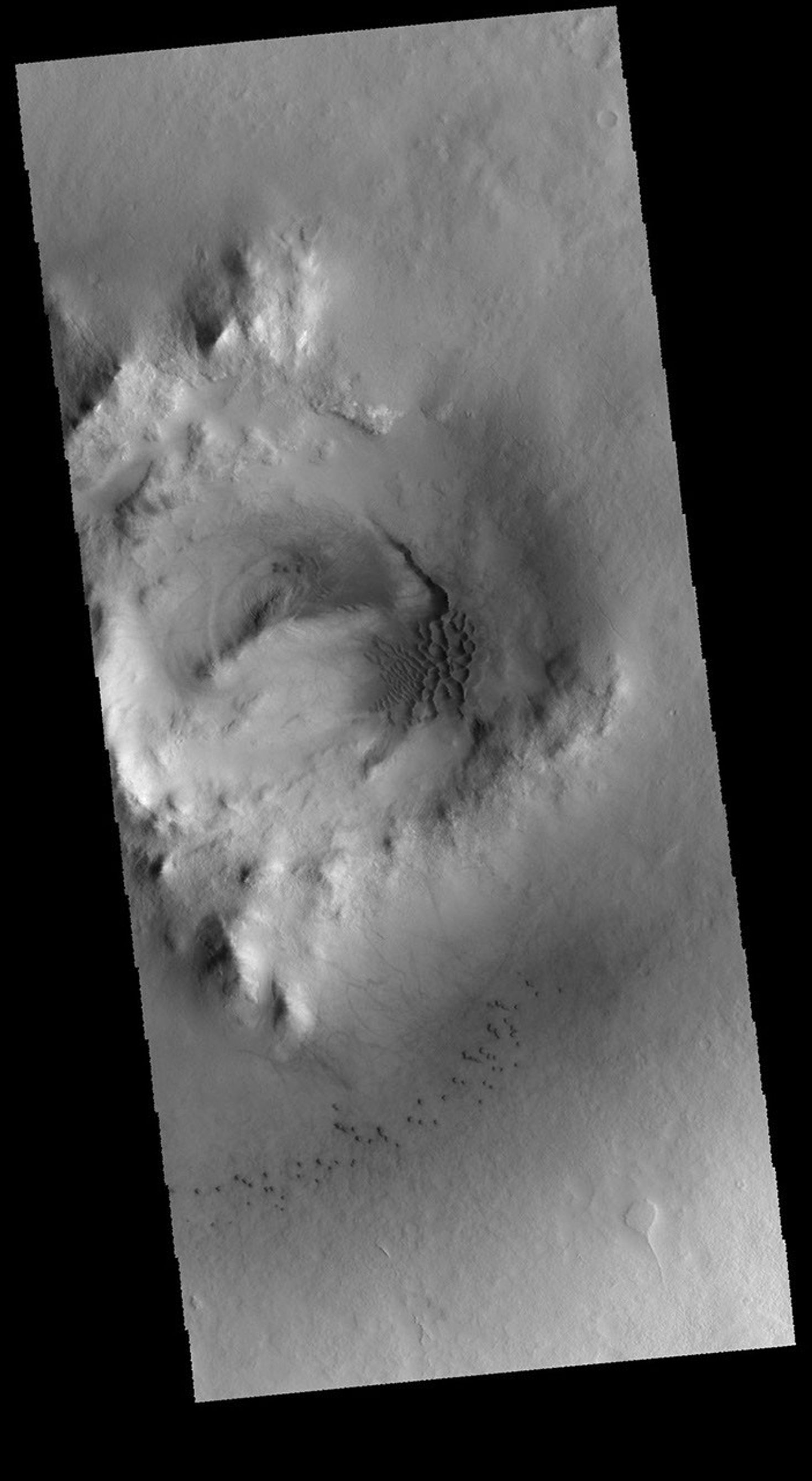This image captured by NASA's 2001 Mars Odyssey spacecraft shows part of the interior of Milankovic Crater.