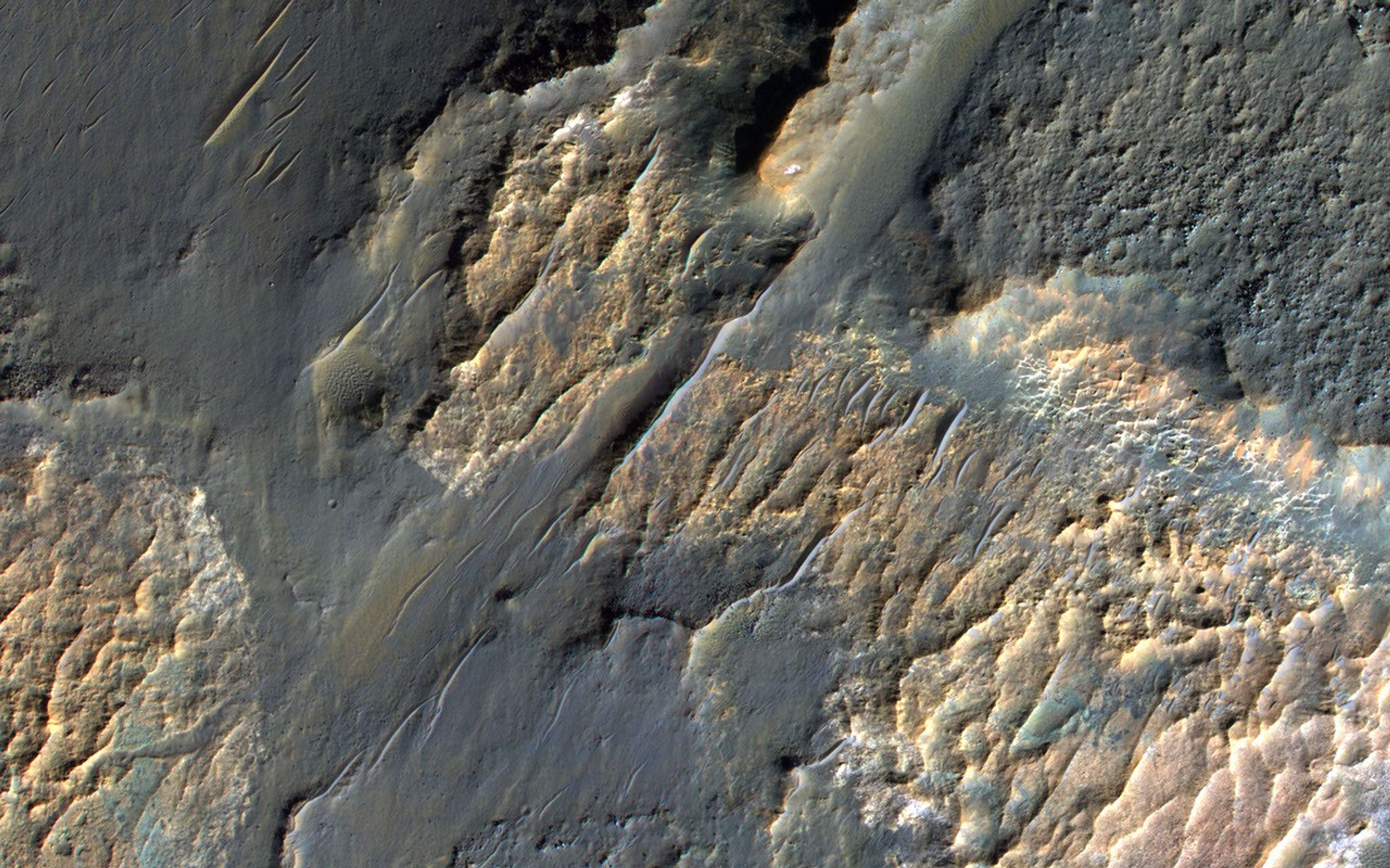 Captured by NASA's Mars Reconnaissance Orbiter spacecraft, shown here are bizarre landforms in Gorgonum Basin. This basin may have contained an ancient lake, with channels draining into the lake from the sides.