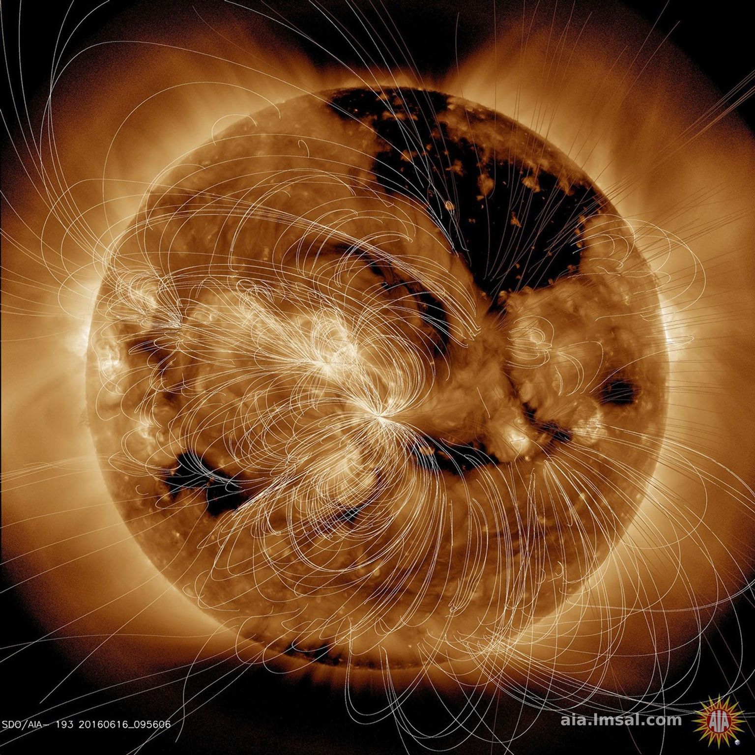 Each day NASA solar scientists produce overlays (in white lines) that show how magnetic field lines above the sun are configured (June 16, 2016). The lines are tightly bundled near the lighter-toned active regions, which are magnetically intense regions.