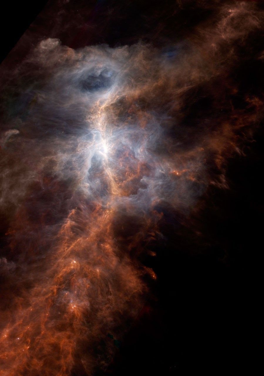 The dusty side of the Sword of Orion is illuminated in this striking infrared image from the European Space Agency's Hershel Space Observatory.