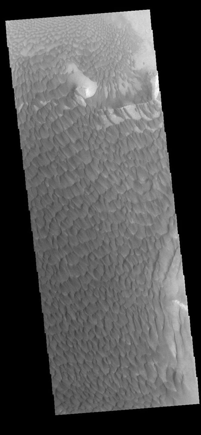 This image captured by NASA's 2001 Mars Odyssey spacecraft shows part of the dune field on the floor of Rabe Crater.