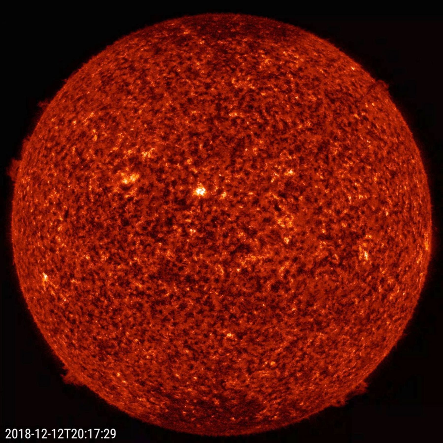 NASA's Solar Dynamics Observatory showed four smallish prominences along the sun's edge at about the same time (Dec. 12-14, 2018).