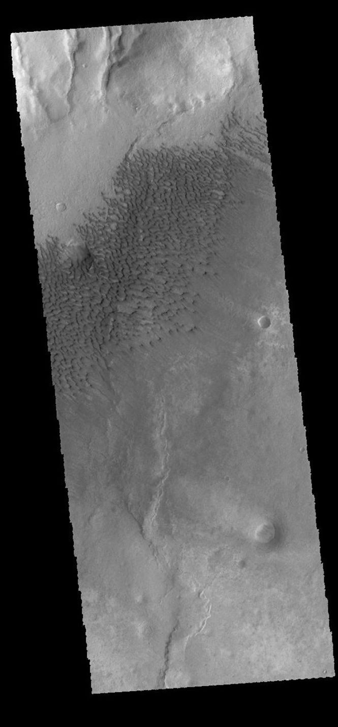 This image captured by NASA's 2001 Mars Odyssey spacecraft shows sand dunes on the floor of Sumgin Crater.