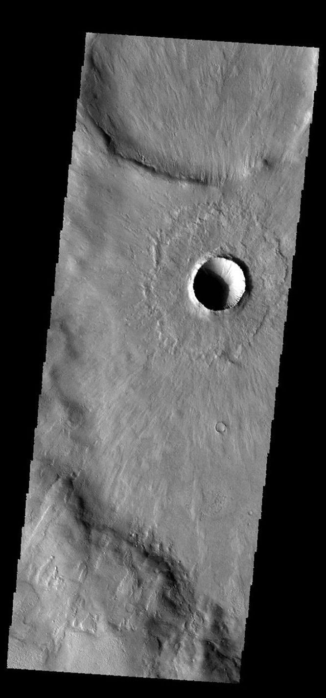 This image from NASA's 2001 Mars Odyssey spacecraft shows the same young crater from earlier this week. In this image we can see how the thin radial ejecta has lapped up and over the ridge at the bottom of the image.