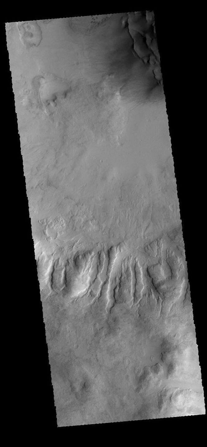 This image captured by NASA's 2001 Mars Odyssey spacecraft shows part of an unnamed crater in Noachis Terra.