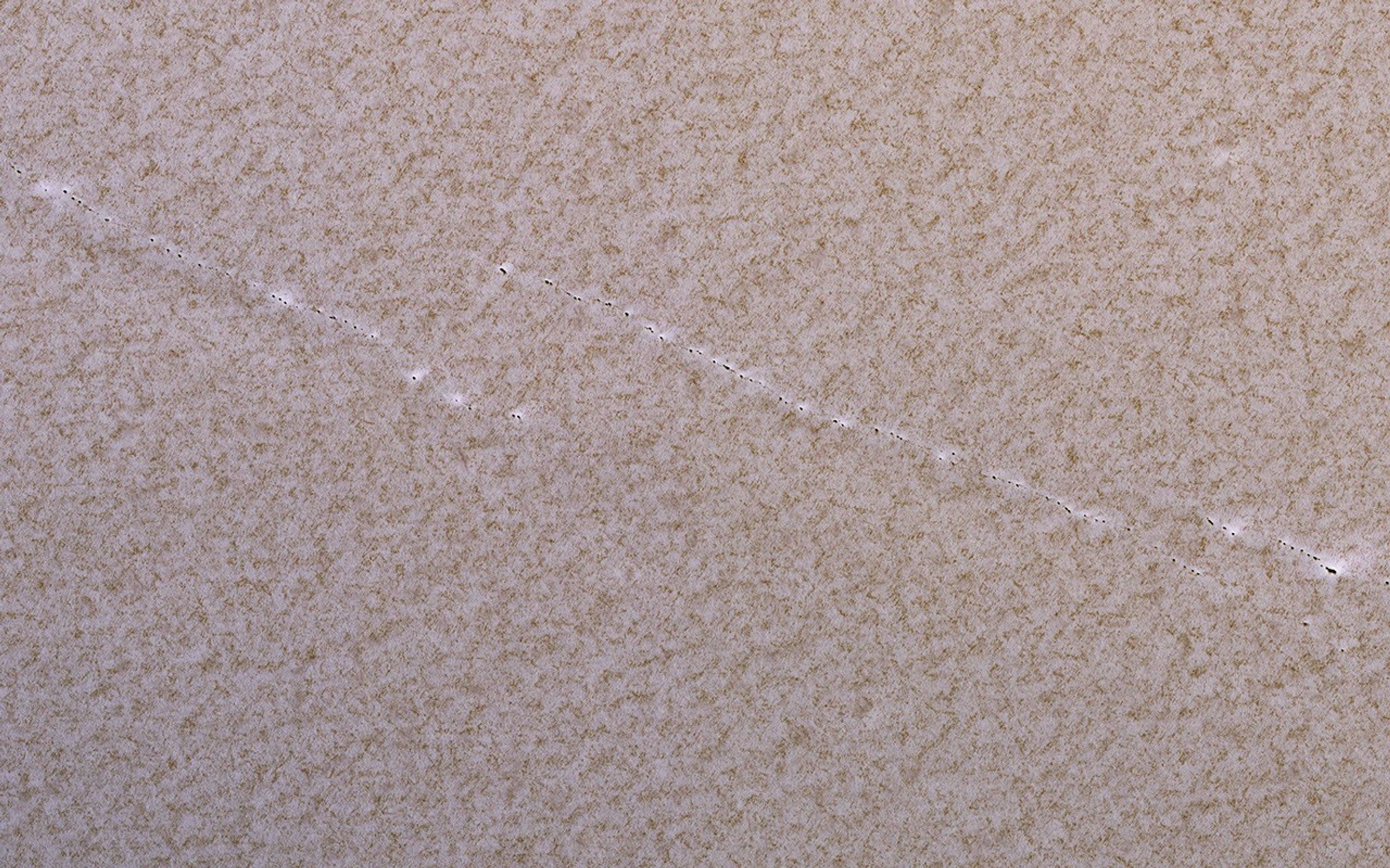 This image from NASA's Mars Reconnaissance Orbiter shows a portion of the North Polar layered deposits with lines of very small pits, only about 1 meter in diameter.