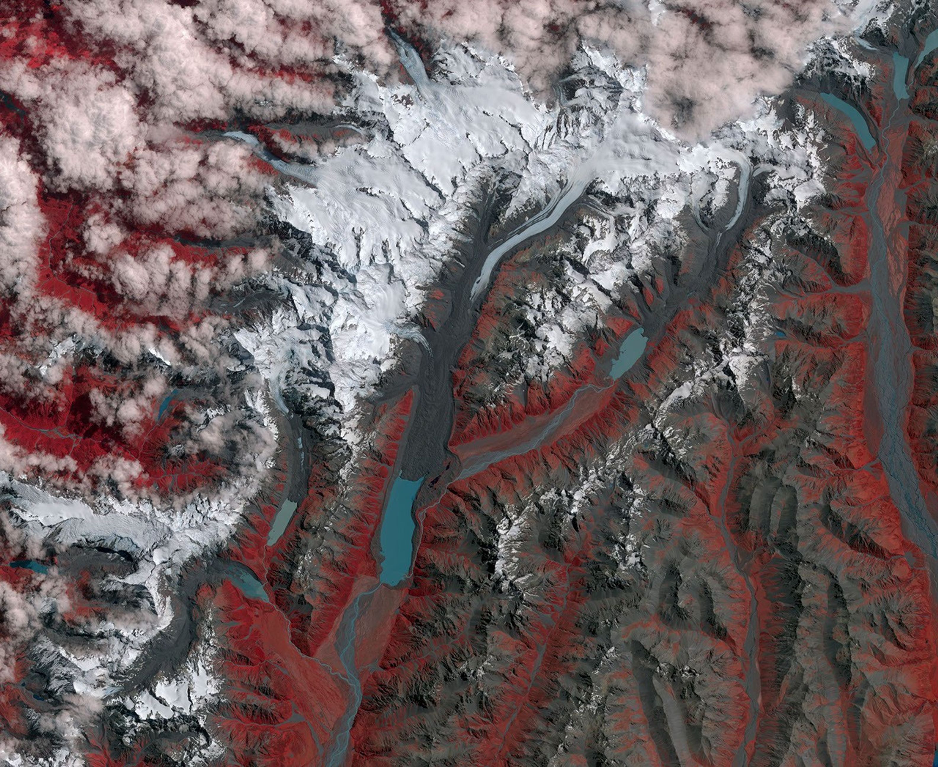 New Zealand contains over 3,000 glaciers, most of which are in the Southern Alps on the South Island. Since 1890, the glaciers have been retreating, with short periods of small advances, as shown in this image from NASA's Terra spacecraft.