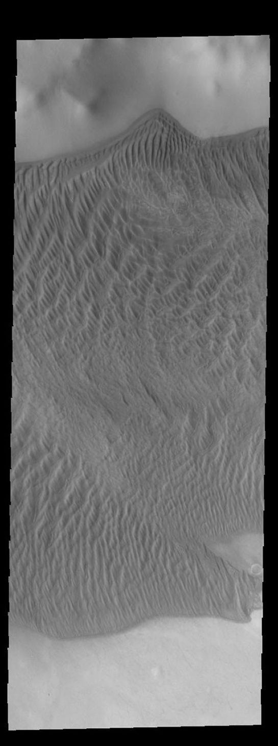 This image captured by NASA's 2001 Mars Odyssey spacecraft shows part of the large sand sheet with surface dune forms on the floor of Charlier Crater in Terra Sirenum.