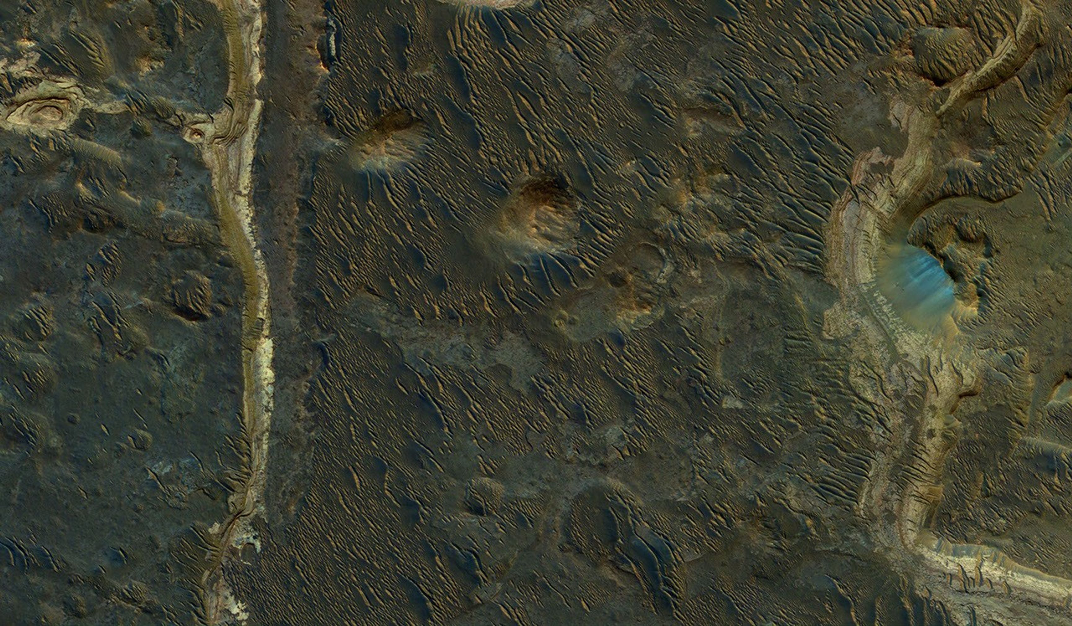 Holden Crater was once filled by at least two different lakes. The sediments deposited in those lakes are relatively light-toned where exposed in this observation from NASA's Mars Reconnaissance Orbiter.