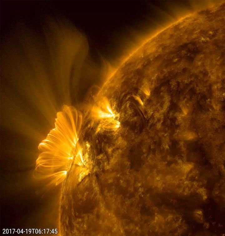 An active region that had just rotated into NASA's Solar Dynamics Observatory's view blasted out a coronal mass ejection, which was immediately followed by a bright series of post-coronal loops seeking to reorganize that region's magnetic field.