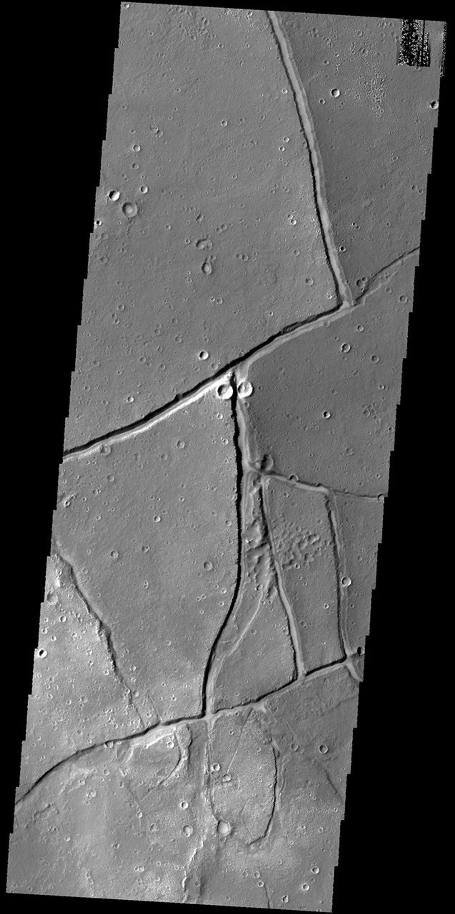 NASA's 2001 Mars Odyssey spies what looks like a praying mantis looking back at the spacecraft.