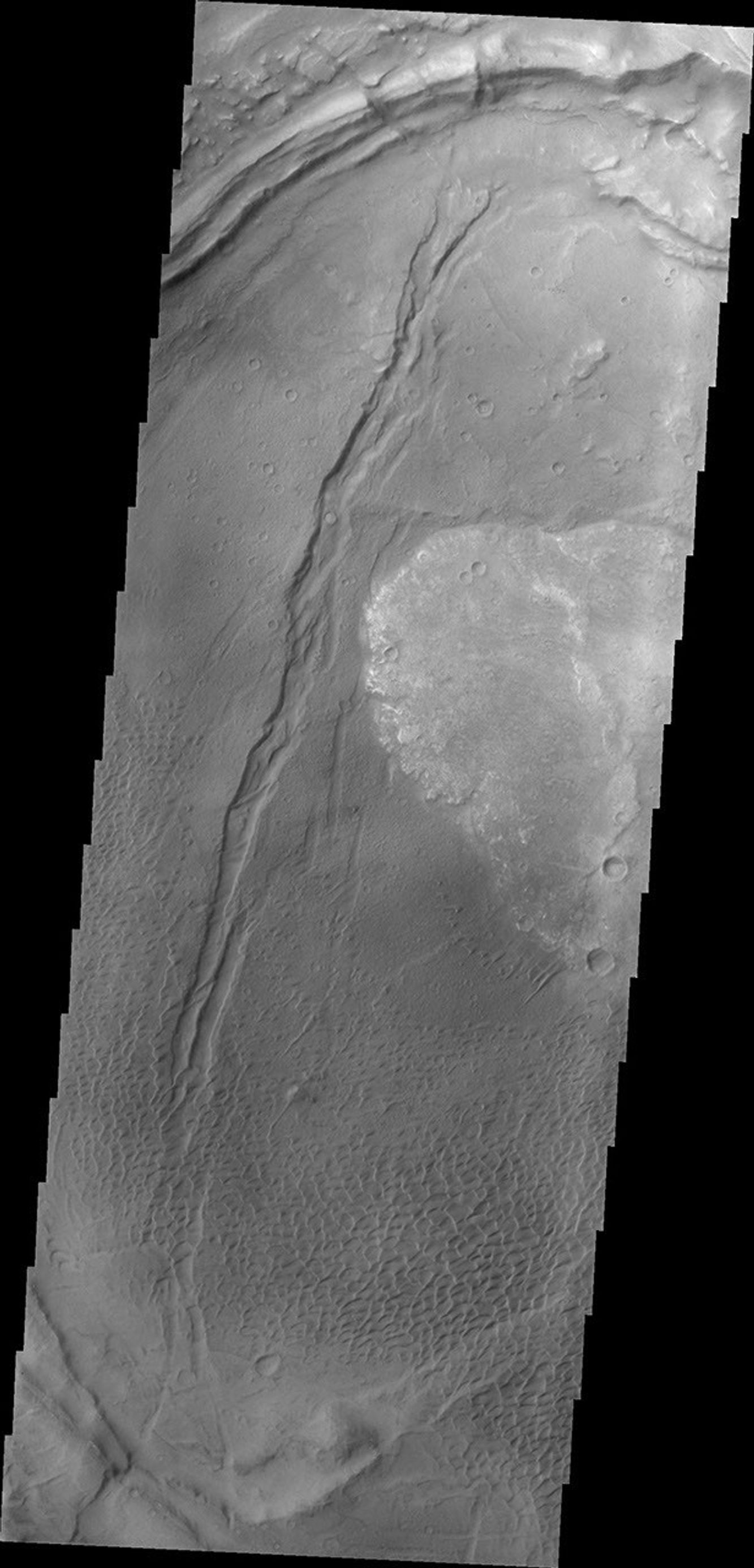 This image from NASA's 2001 Mars Odyssey spacecraft shows part of the Nili Patera dune field. Winds are blowing the dunes across a rough surface of regional volcanic lava flows. The paterae are calderas on the volcanic complex called Syrtis Major Planum.