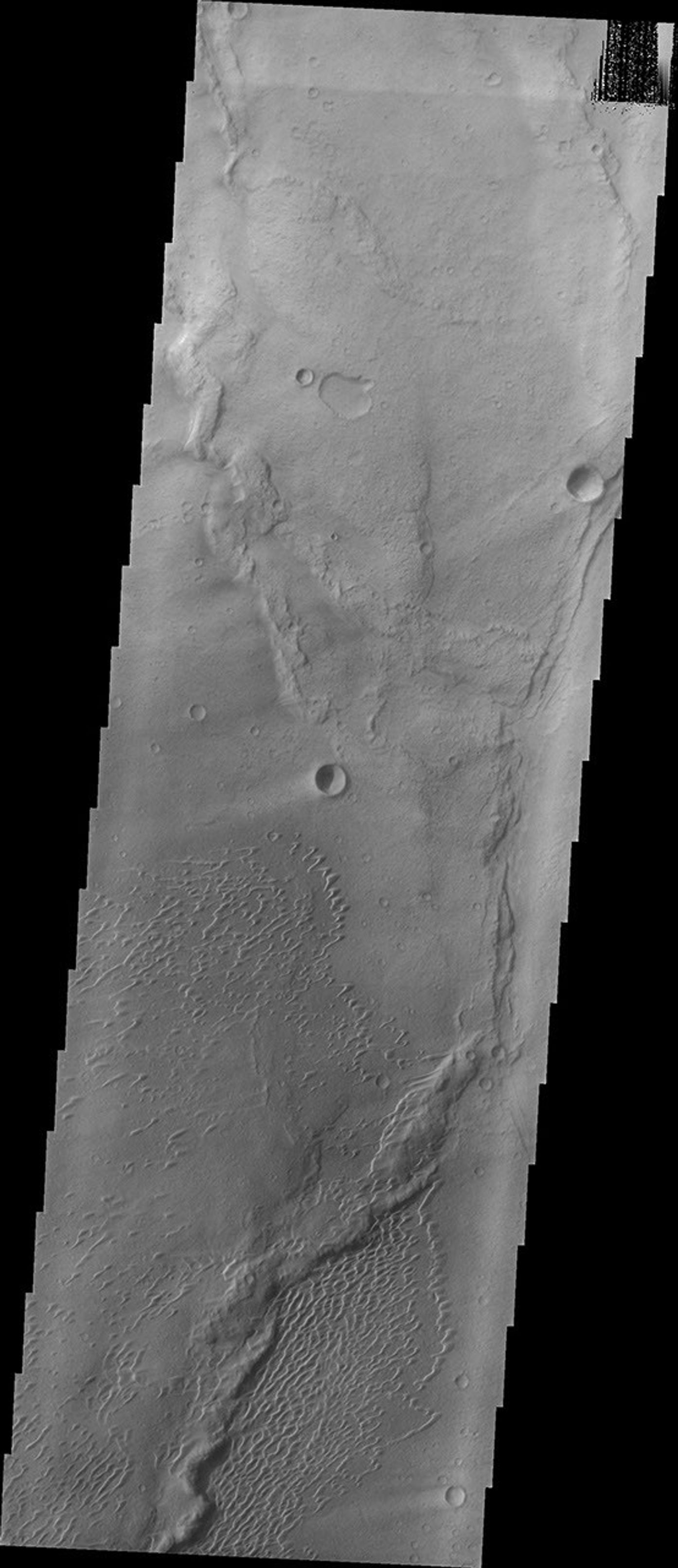 This image captured by NASA's 2001 Mars Odyssey spacecraft shows part of the dune field near Meroe Patera. The paterae are calderas on the volcanic complex called Syrtis Major Planum.