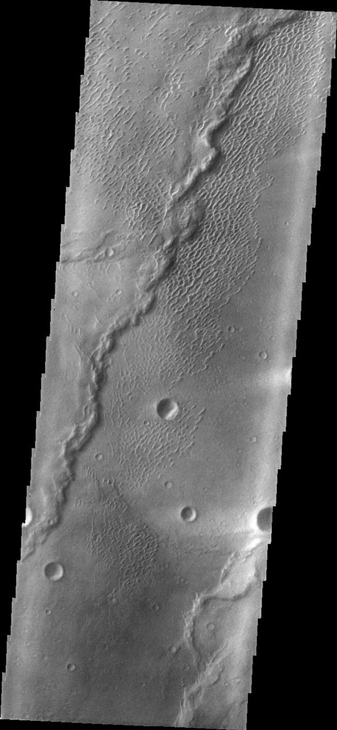 This image from NASA's 2001 Mars Odyssey spacecraft shows part of the dune field near Meroe Patera. Winds are blowing the dunes across a rough surface of regional volcanic lava flows.