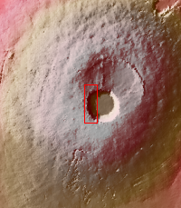 Context image for PIA22024