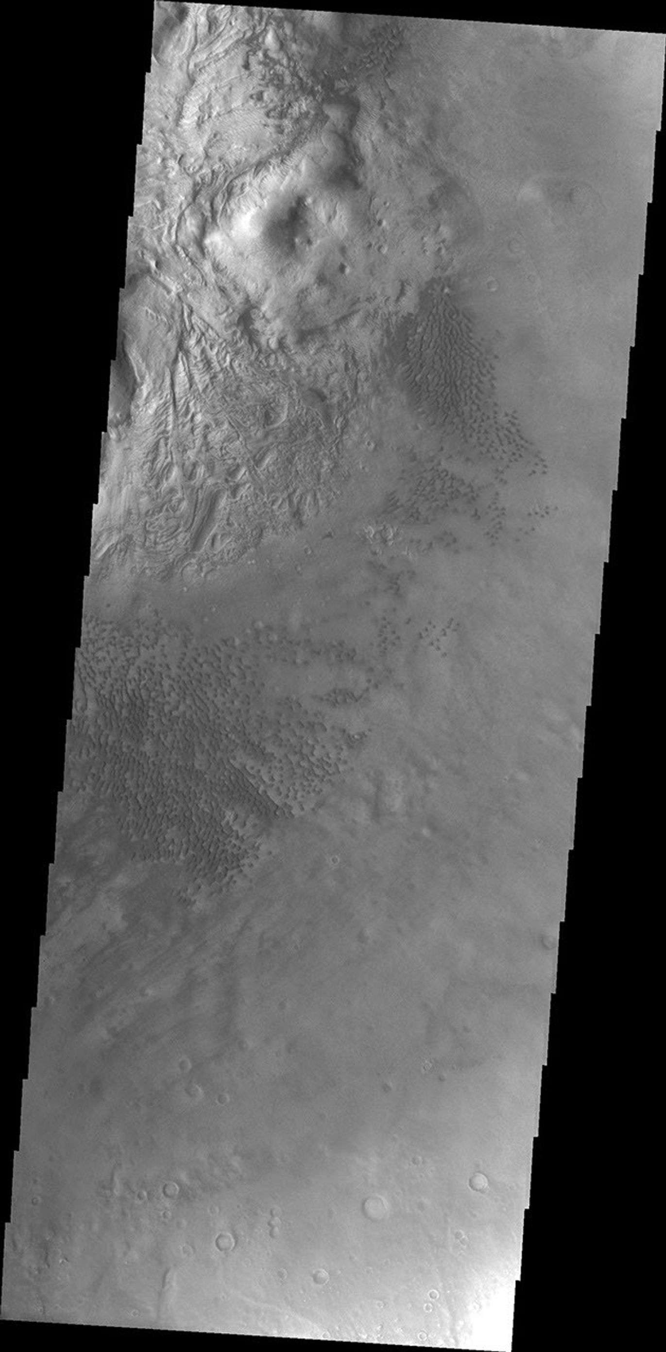 This image of Moreux Crater captured by NASA's 2001 Mars Odyssey spacecraft shows part of the central peak and fields of sand dunes on the crater floor surrounding the peak. Moreux Crater is located in northern Arabia Terra.