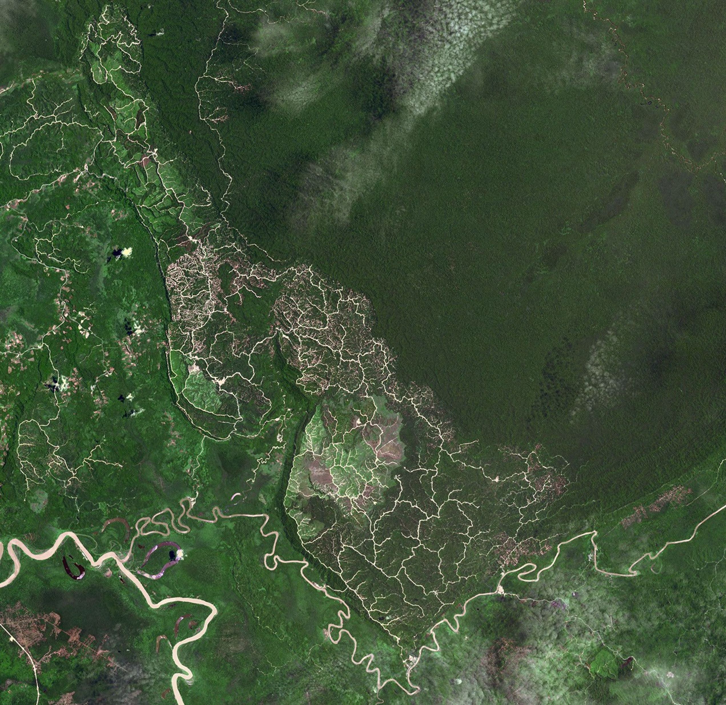 The southwestern border of Brunei with Sarawak, Malaysia is strikingly apparent due to differences in land use practice. This image from NASA's Terra spacecraft was acquired September 10, 2012.