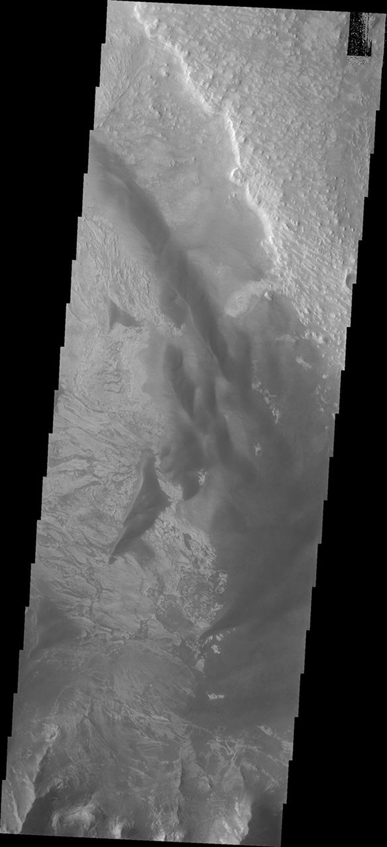 Melas Chasma is part of the largest canyon system on Mars. This image from NASA's 2001 Mars Odyssey spacecraft contains a large region of dunes between the canyon cliff face and the large ridge of material at the mid-elevation of the canyon.