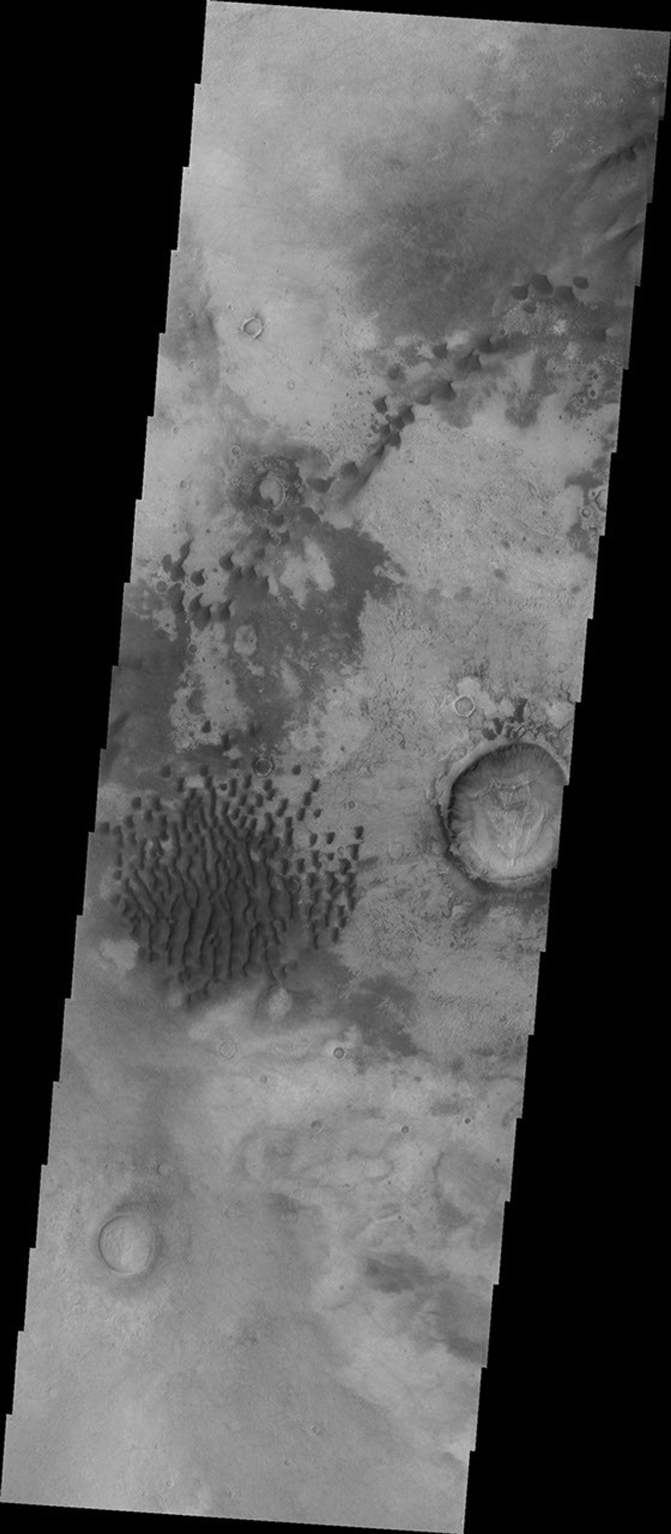 This image of Kaiser Crater captured by NASA's 2001 Mars Odyssey spacecraft shows individual dunes and where the dunes have coalesced into longer dune forms.