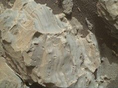 click here for Figure 1 for PIA22212