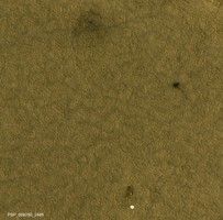 click here for larger view of figure 1 for PIA22223