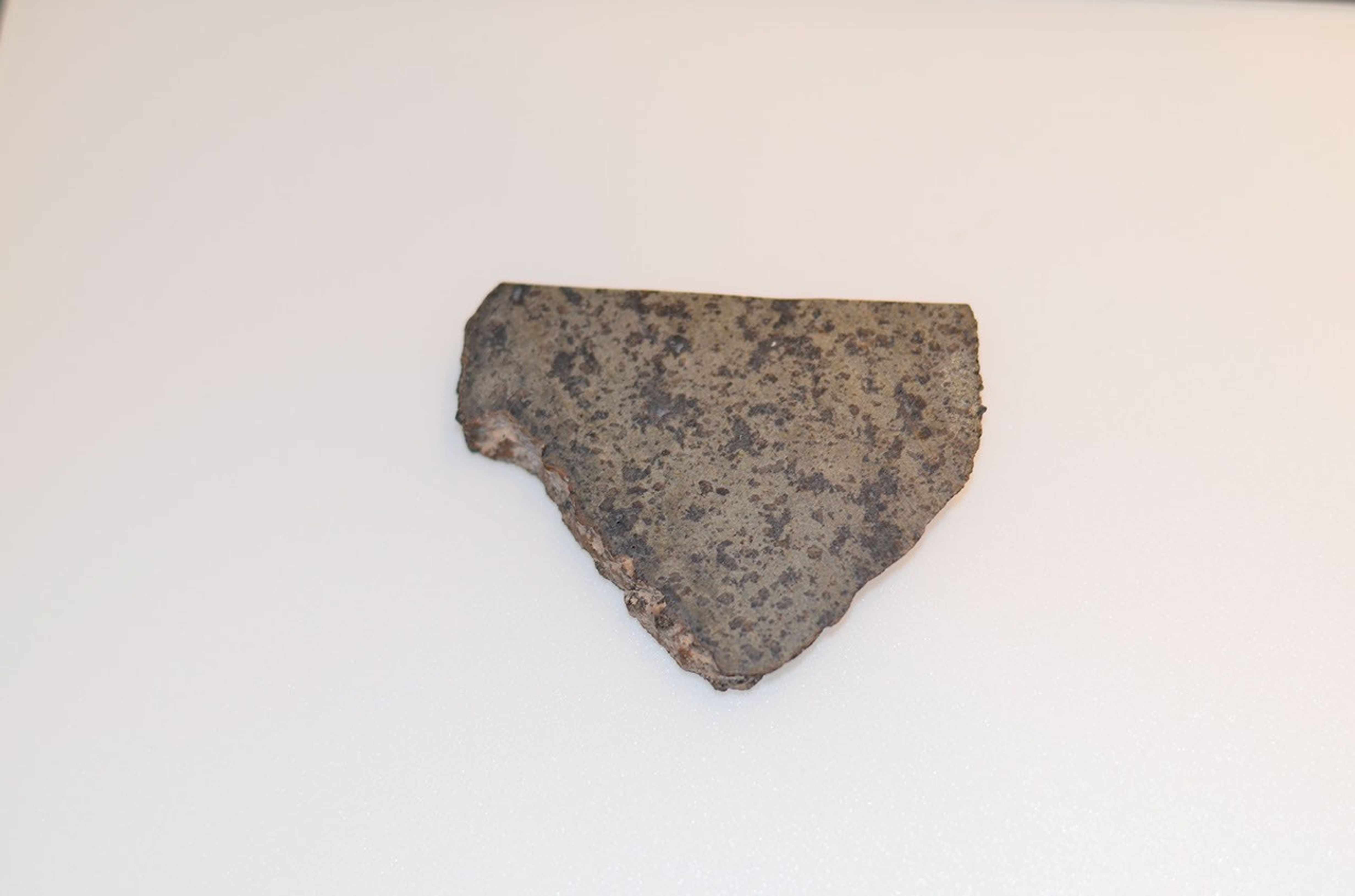 This is a close-up of a slice of a meteorite scientists have determined came from Mars. This slice will likely be used here on Earth for testing a laser instrument for NASA's Mars 2020 rover.