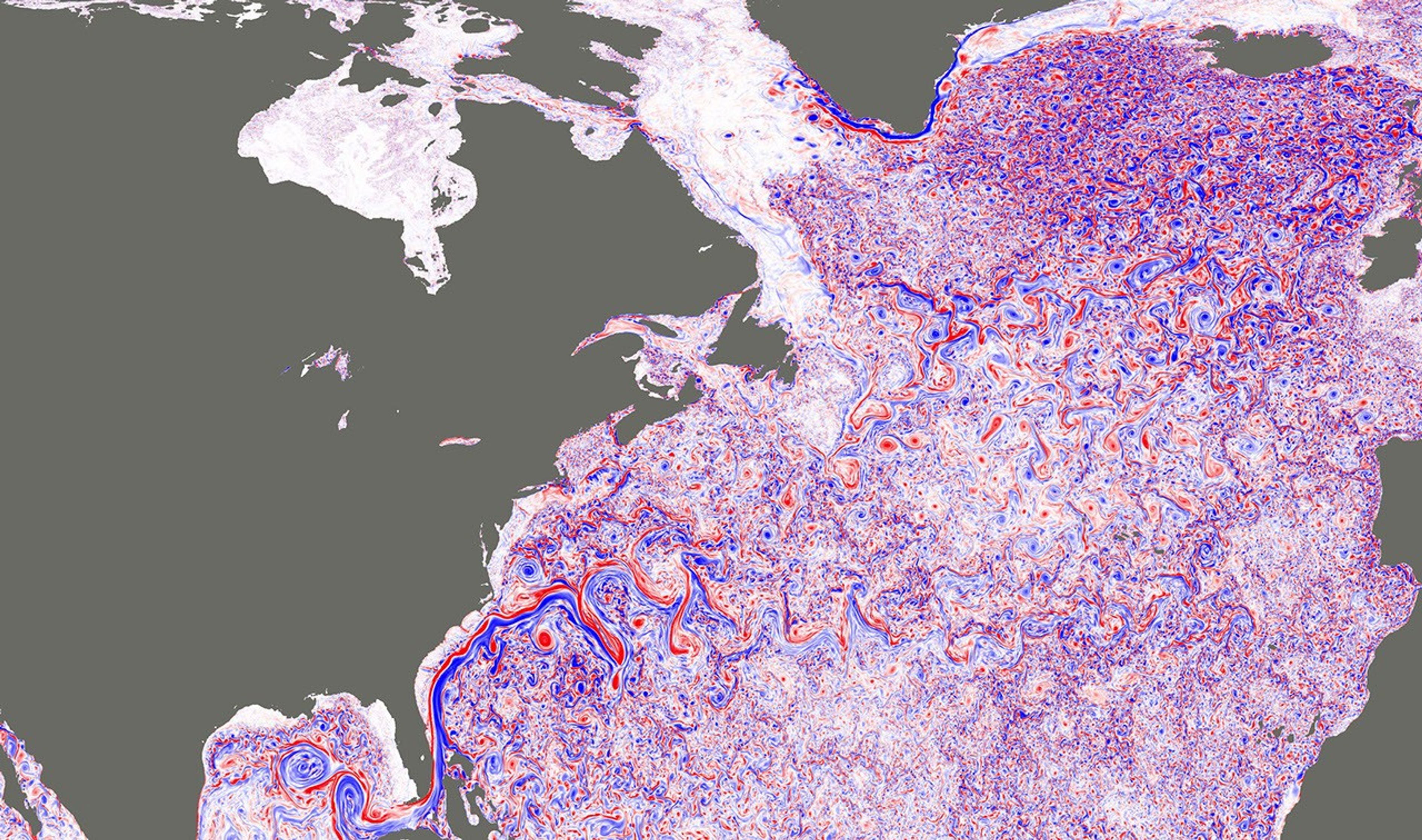 This image shows a simulated snapshot of ocean turbulence in the North Atlantic Ocean in March 2012. The colors represent the magnitude of surface relative vorticity, a measure of the spin of fluid parcels.