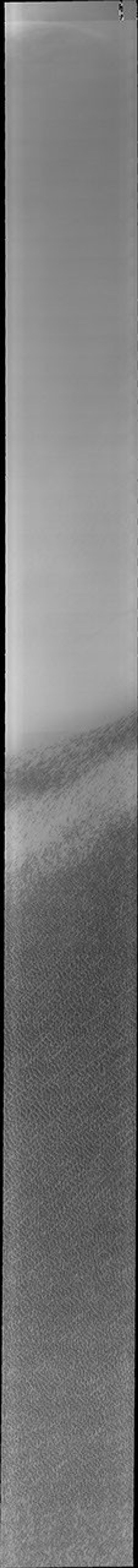 This image of Olympia Undae was collected early in north polar spring. The crests of the dunes are light colored, indicative of a frost covering. This image was captured by NASA's 2001 Mars Odyssey spacecraft.