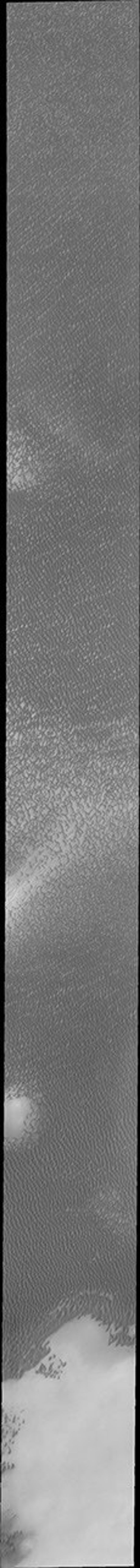 This image of Olympia Undae from NASA's 2001 Mars Odyssey spacecraft was collected during north polar summer. The dunes are now completely frost free and are dark in color due to being made of basaltic sand.