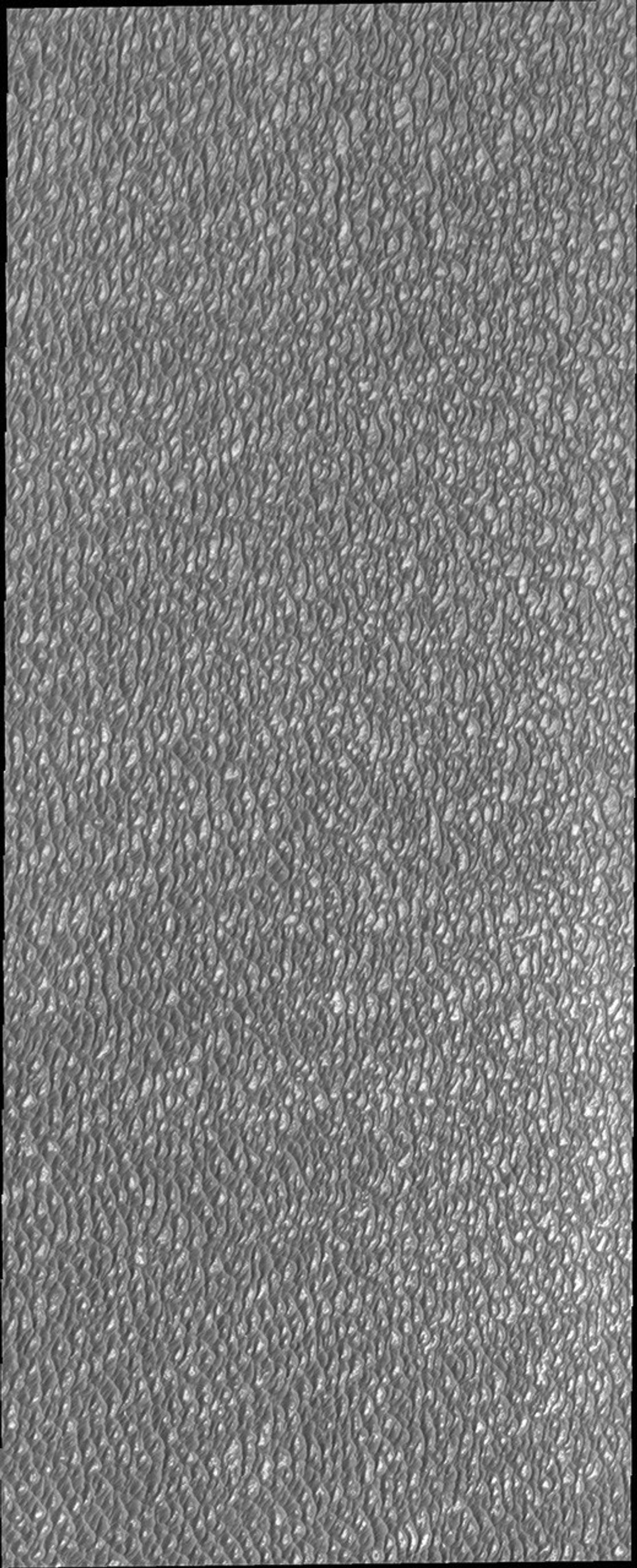 This image of Olympia Undae captured by NASA's 2001 Mars Odyssey spacecraft was collected during north polar summer. The dunes are now completely frost free and are dark in color due to being made of basaltic sand.