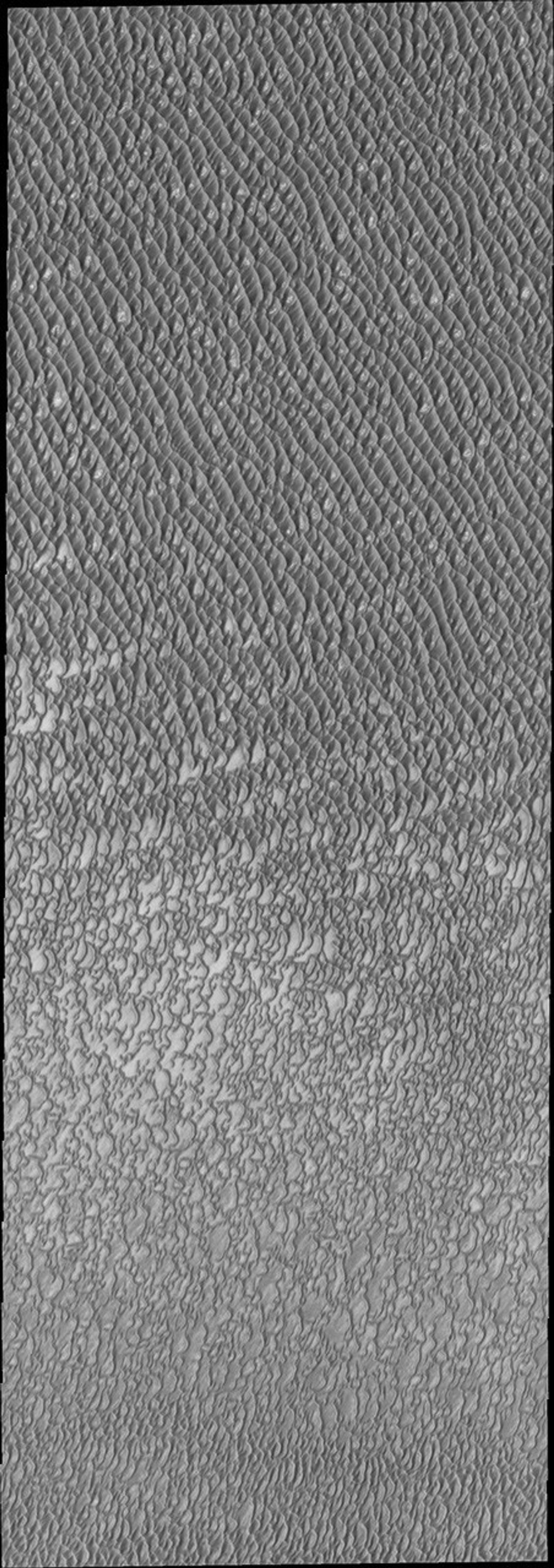 This image captured by NASA's 2001 Mars Odyssey spacecraft was collected at the height of summer. It is during this season that winds are able to move sand sized particles, slowly modifying the dunes.