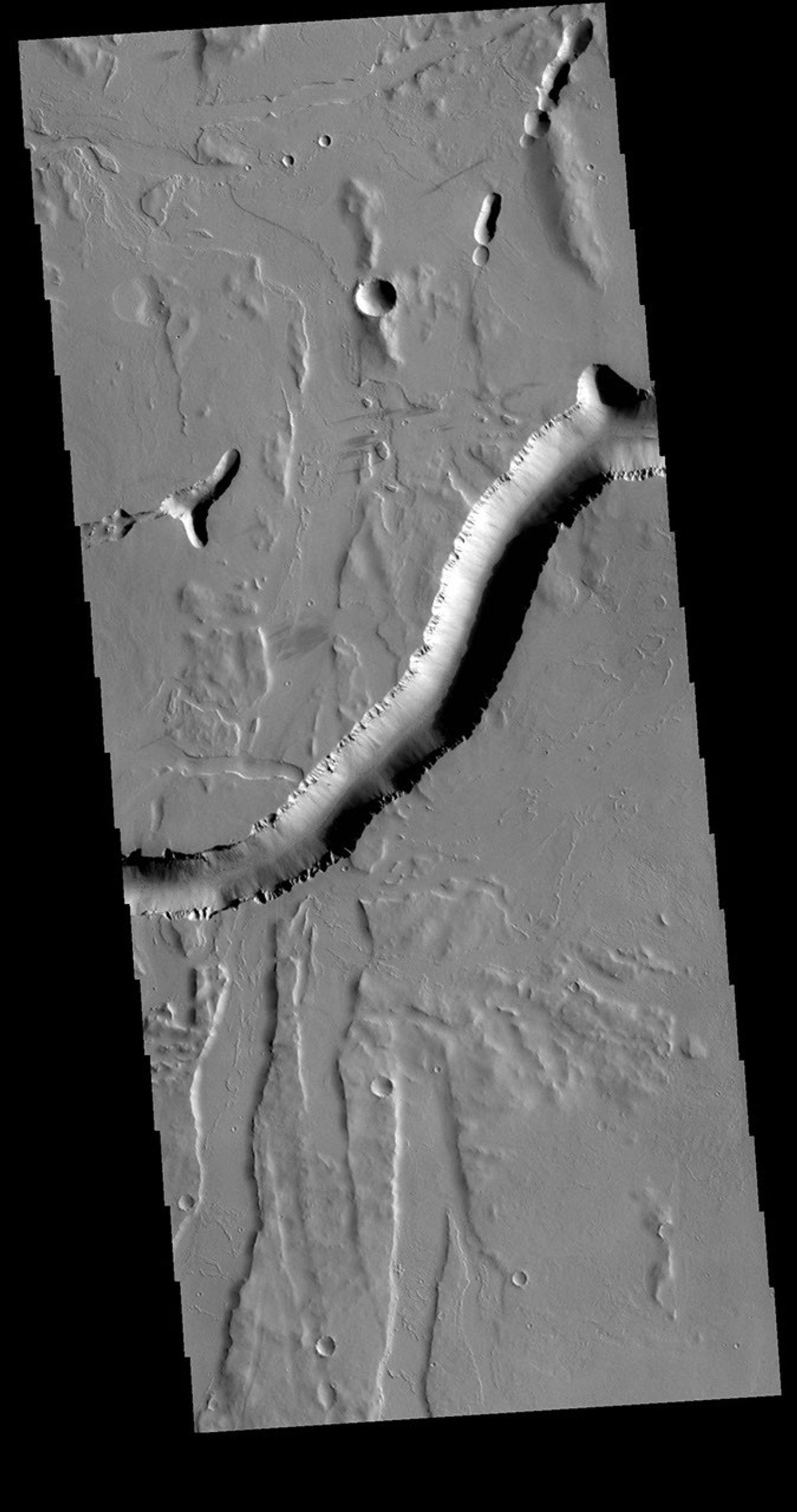 Olympica Fossae is a complex channel located on the volcanic plains between Alba Mons and Olympus Mons. The sinuosity of the large channel in the middle of this image from NASA's 2001 Mars Odyssey indicates that this is a channel created by liquid flow.