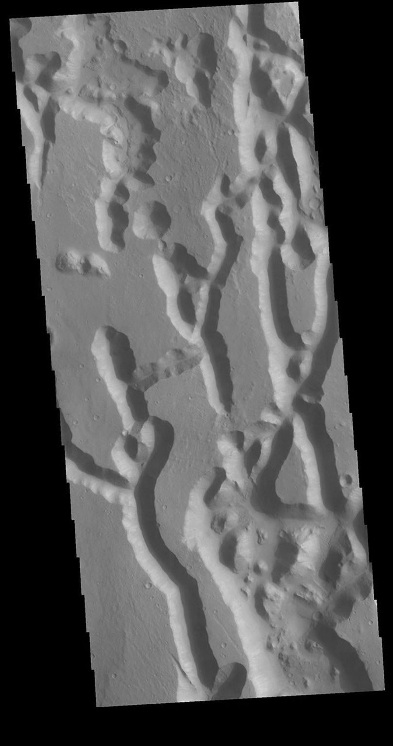This image captured by NASA's 2001 Mars Odyssey spacecraft shows a region of Chryse Chaos where the isolated mesas are beginning to be formed. The interconnected channel forms erode, and mesas are created by erosion of the bounding channels.