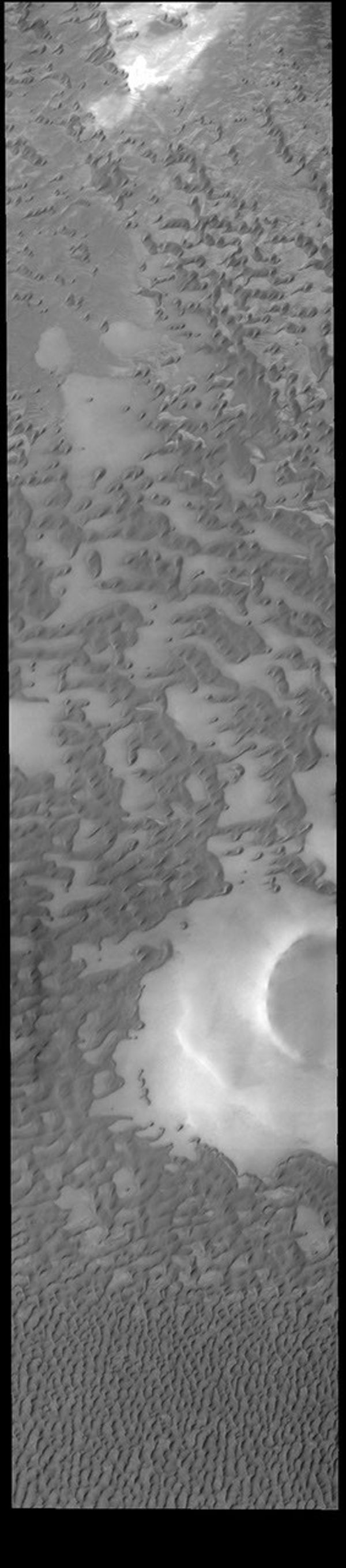 This image from NASA's 2001 Mars Odyssey spacecraft shows part of Olympia Undae, a large dune field that surrounds part of the north polar cap. At the top of the image the dunes are small and isolated.