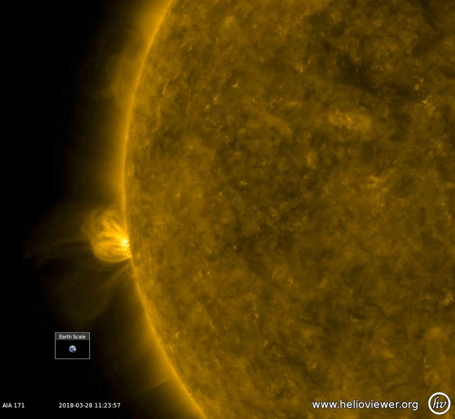 With no active regions currently on the face of the sun, NASA's Solar Dynamics Observatory observed a bristling active region showing numerous arches of bright, magnetic field lines blossoming out and towering above it beginning to rotate into view.