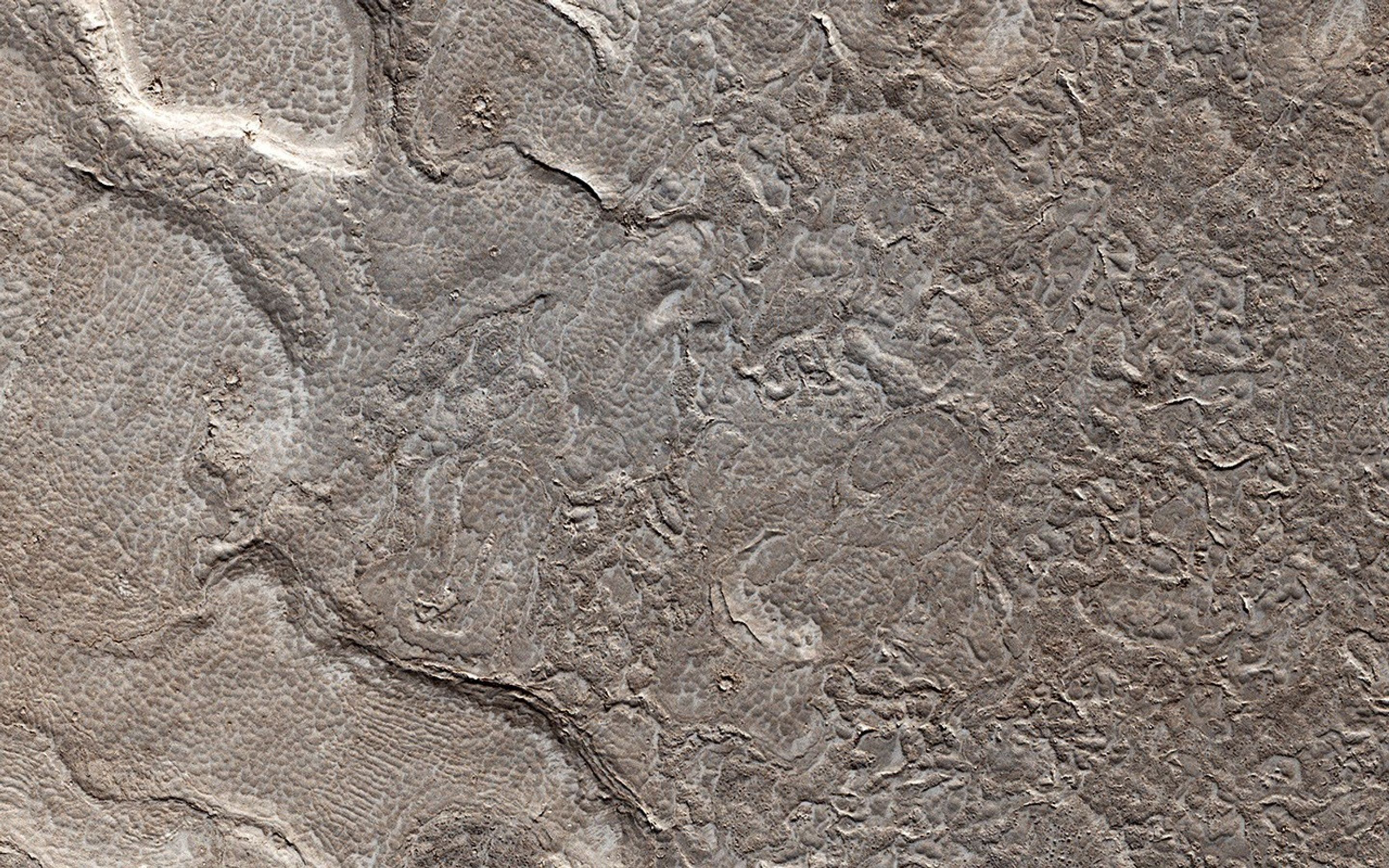 This image from NASA's Mars Reconnaissance Orbiter shows remarkably young lava flows in Elysium Planitia. There are almost no impact craters over this flow, indicating that it is probably only a few million years old.