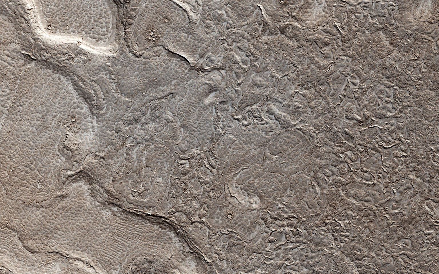 This image from NASA's Mars Reconnaissance Orbiter shows remarkably young lava flows in Elysium Planitia. There are almost no impact craters over this flow, indicating that it is probably only a few million years old.