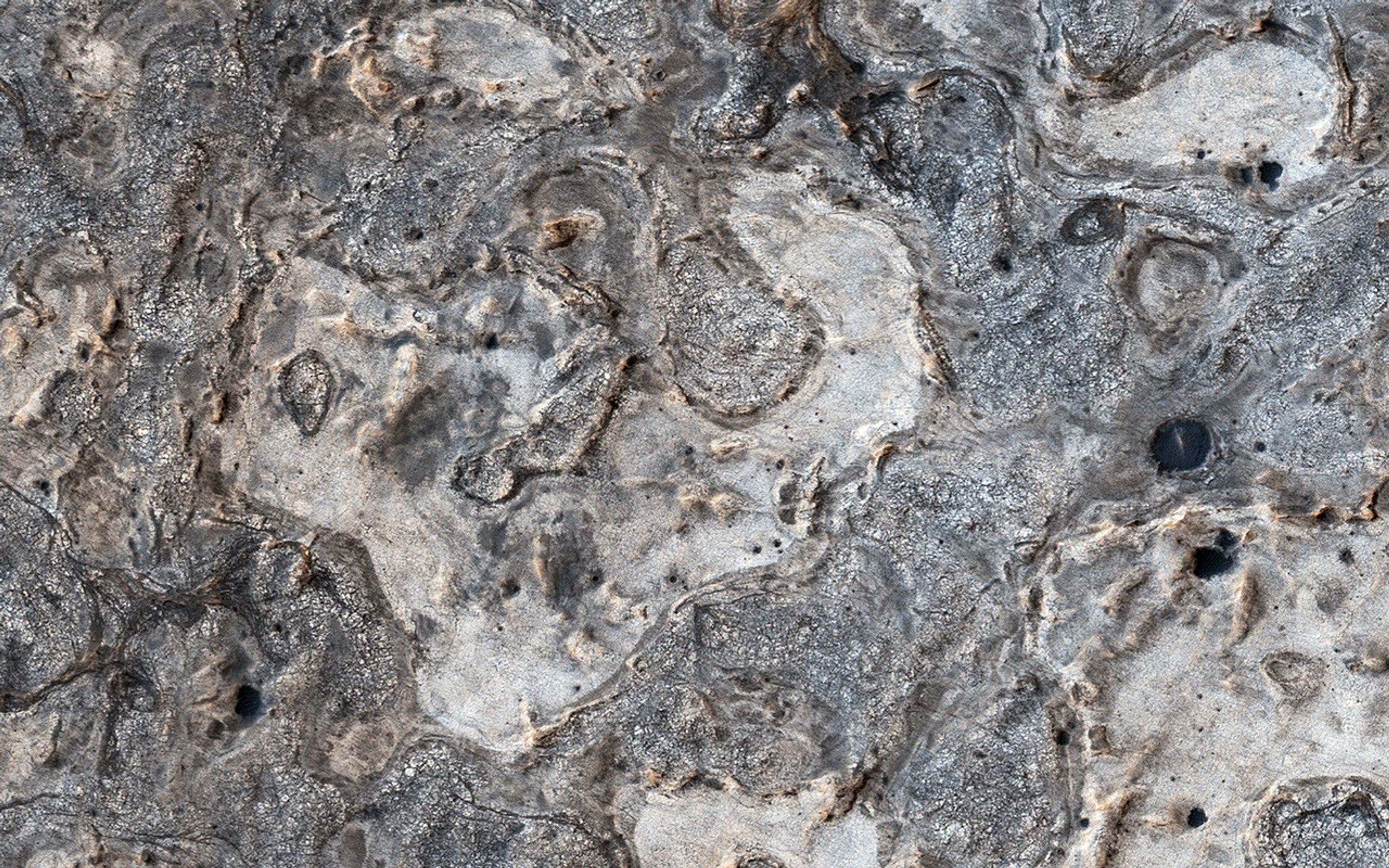 NASA's Opportunity rover has spent 13 years exploring a small region of Meridiani Planum which has a rather ordinary appearance as seen by NASA's Mars Reconnaissance Orbiter.