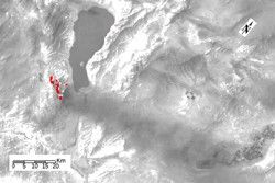 click here for Figure 2 for PIA22490