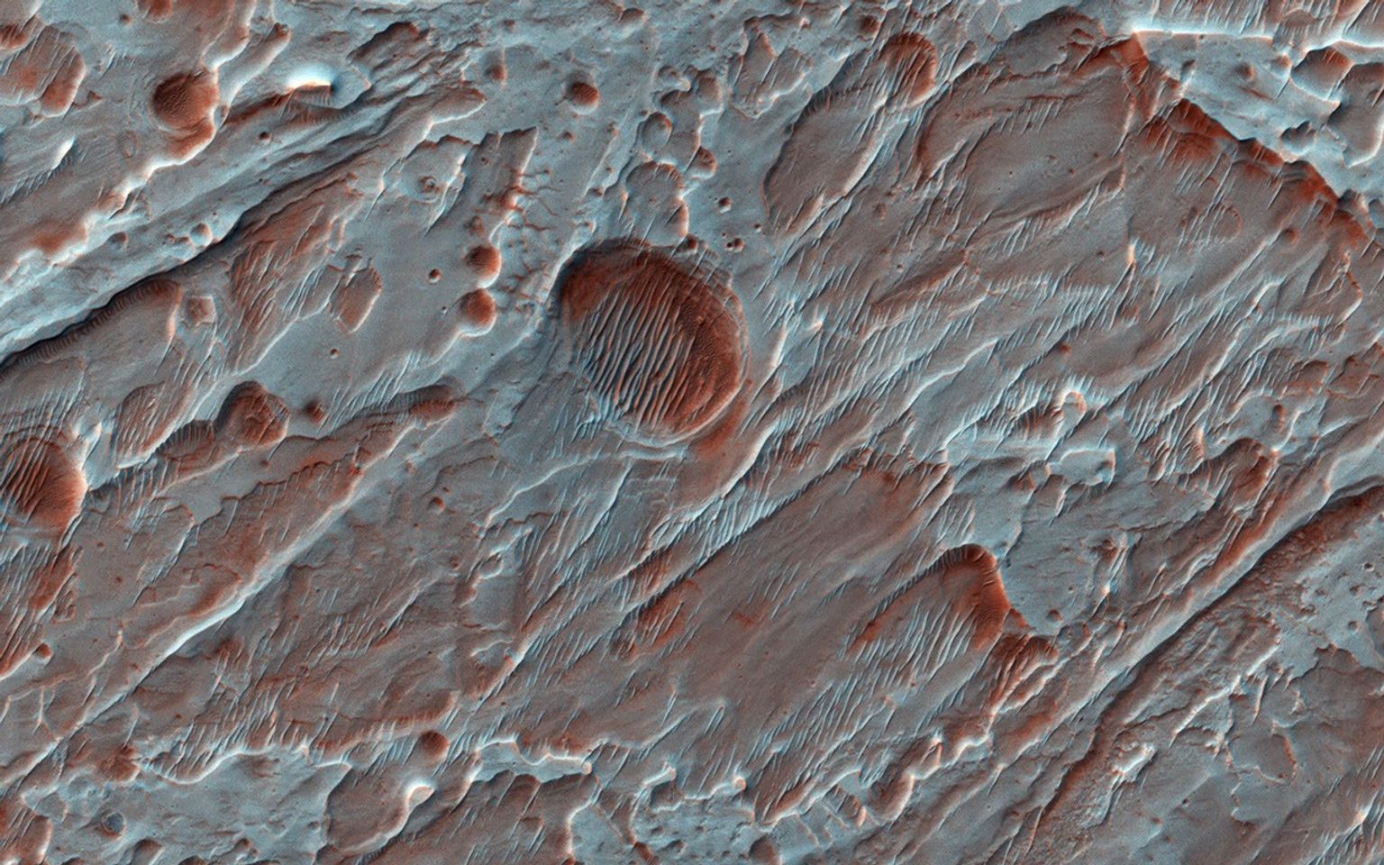 This image from NASA's Mars Reconnaissance Orbiter shows Roddy Crater on Mars, home to several large alluvial fans, which formed as water moved sediment from the mountainous crater rim and deposited it onto the flatter crater floor.