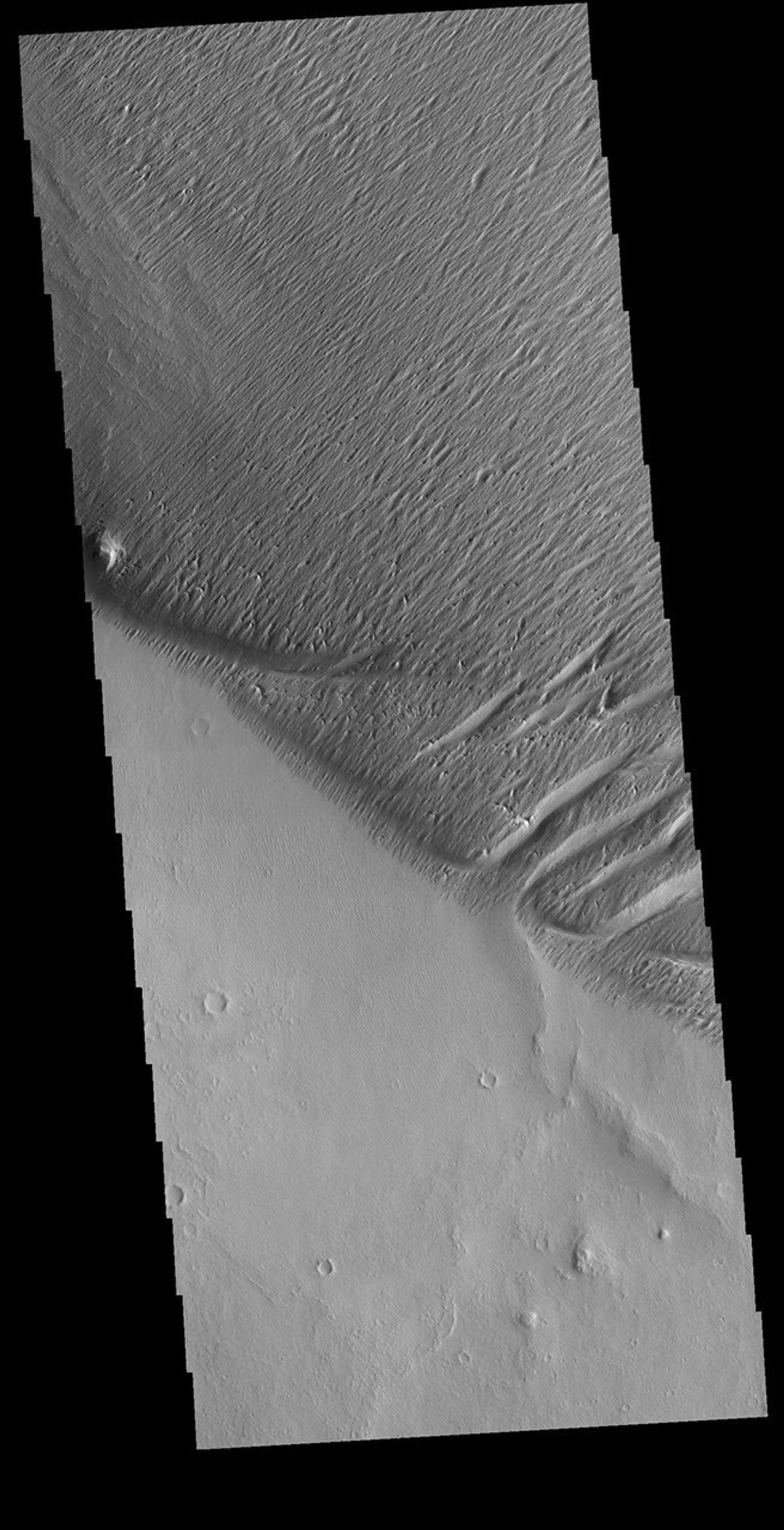 This image from NASA's Mars Odyssey shows that winds in this region have modified the surface, carving valleys into a poorly cemented material. These linear valleys are called yardangs.