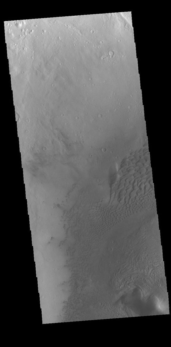 This image from NASA's Mars Odyssey shows part of the floor of Moreux Crater. Sand dunes are found in this region of the crater floor.