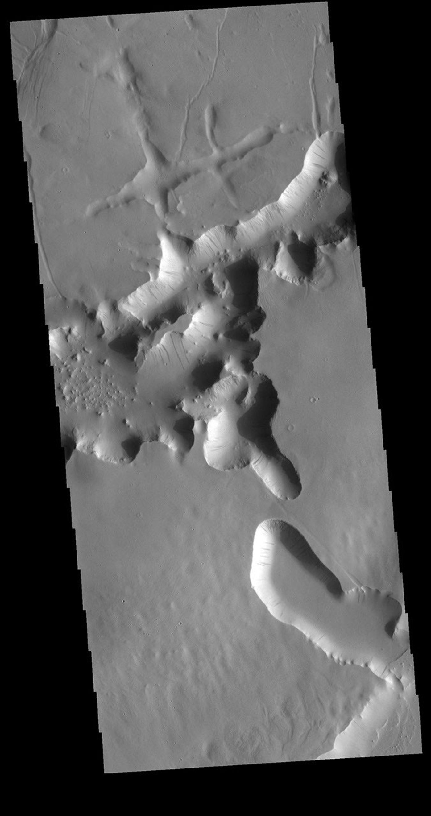 This image from NASA's Mars Odyssey shows some of the tectonic features found in Lycus Sulci as well as the dark slope streaks that are common in this region.