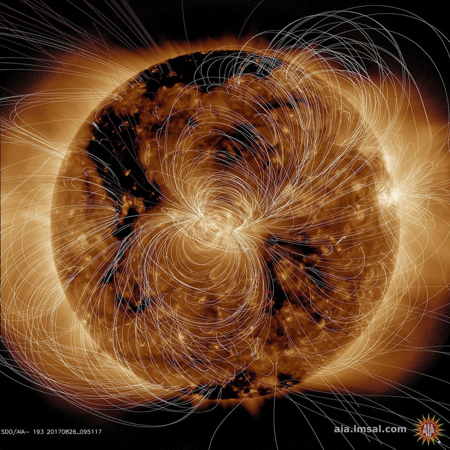 NASA's Solar Dynamics Observatory scientists use their computer models to generate a view of the sun's magnetic field. An extreme ultraviolet view of the sun is compared with the same image showing the superimposed field lines on August 10, 2018.