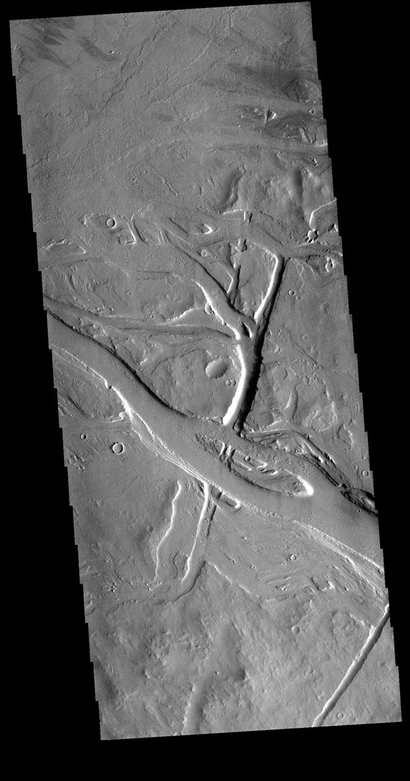 This image from NASA's Mars Odyssey shows the Tharsis region containing both large volcanoes and extensive lava plains. Most of the channel features in this region were formed by the flow of lava rather than the flow of water.