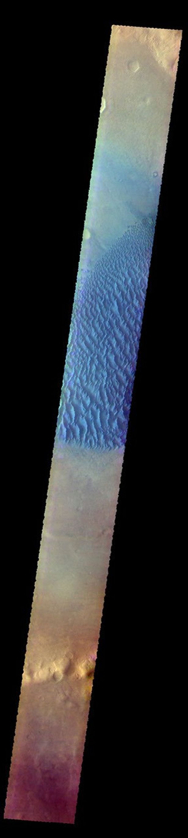 This image from NASA's Mars Odyssey shows the floor of Proctor Crater, including the large dune field. Proctor Crater is located in Noachis Terra.