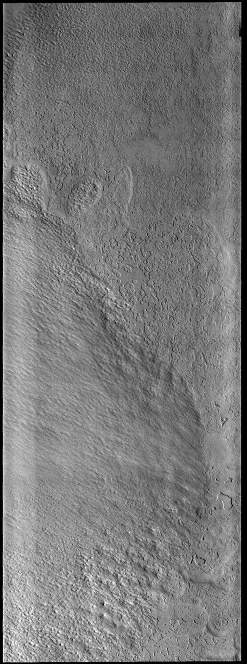 This image from NASA's Mars Odyssey shows several different surface textures in the South Polar ice.