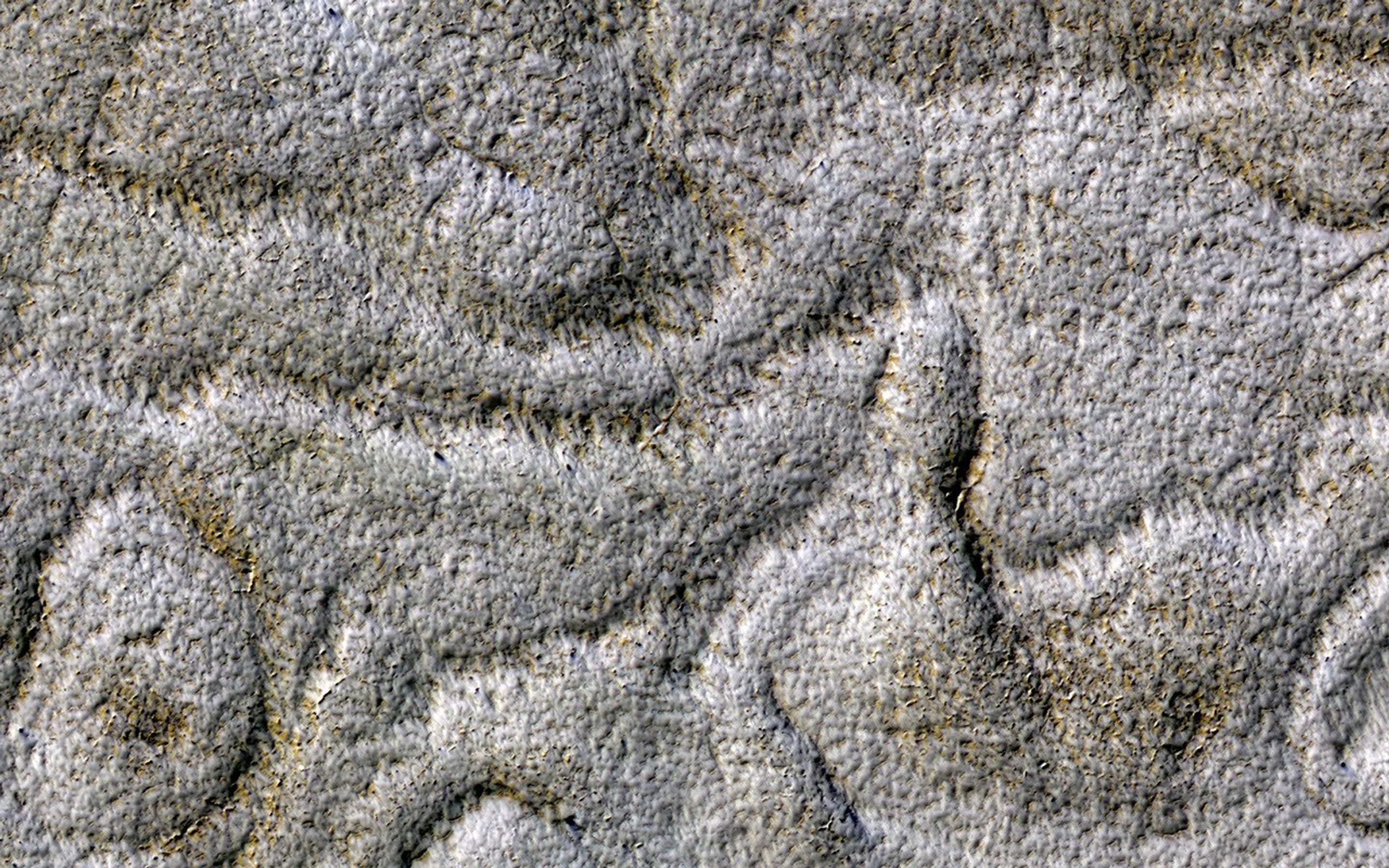 This image acquired on August 1, 2018 by NASA's Mars Reconnaissance Orbiter, shows unusual terrain for the South Polar region of Mars, with a set of curved ridges of unknown origin.