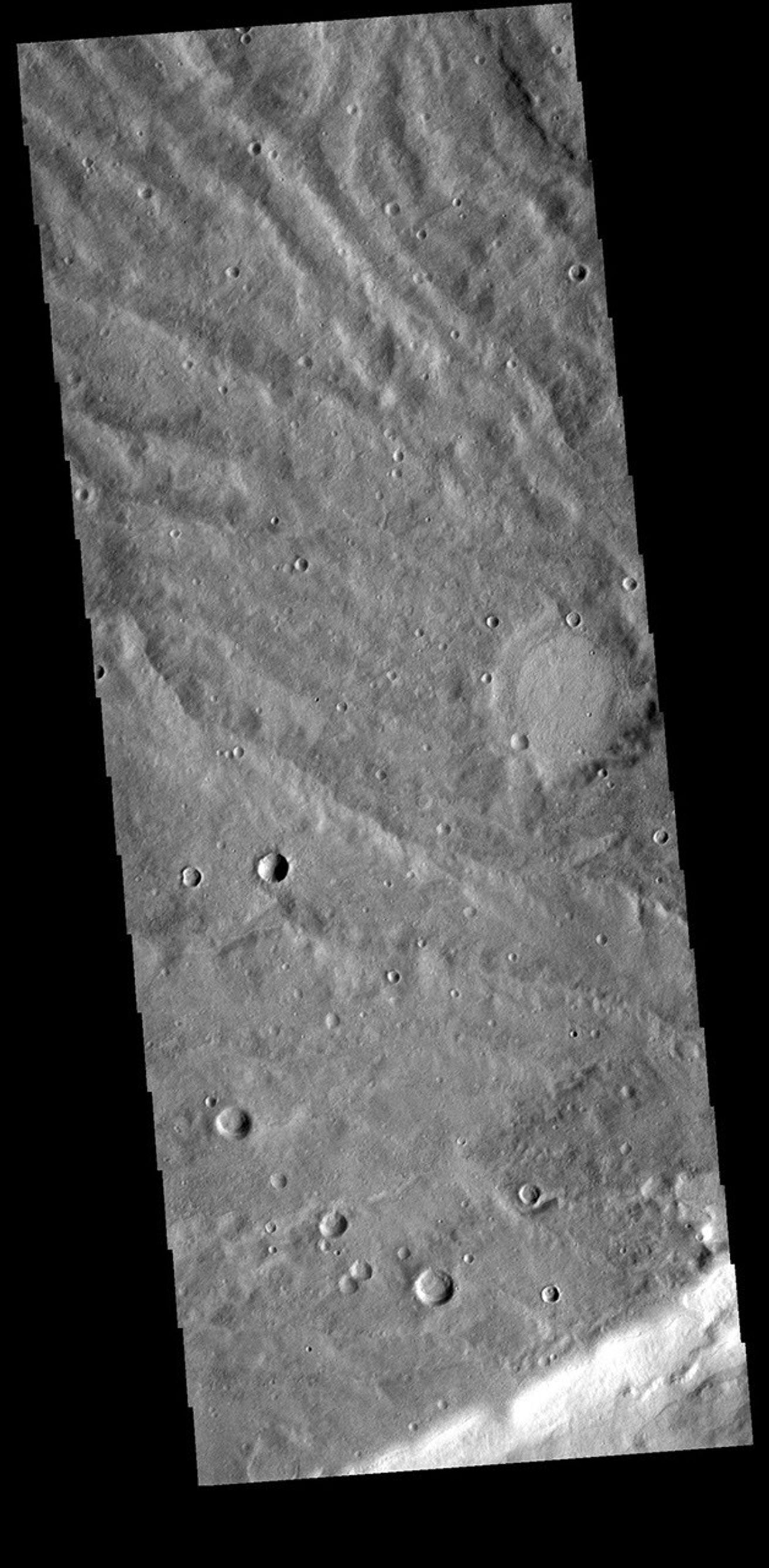 This image from NASA's Mars Odyssey shows Terra Sirenum. The bright linear feature at the bottom of the image is the crest of a ridge.