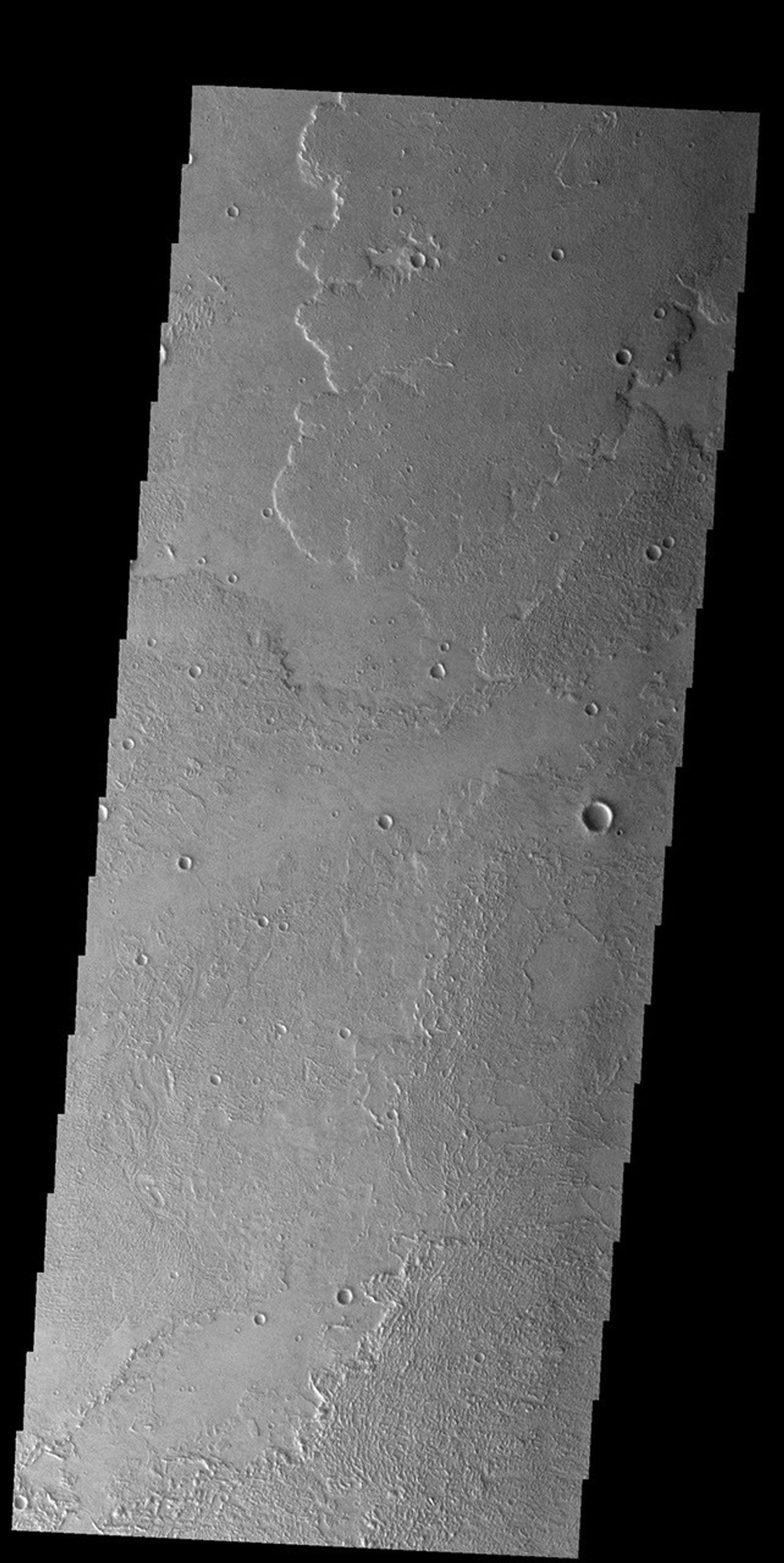 This image from NASA's Mars Odyssey shows a small portion of the immense lava flows that originated from Arsia Mons.
